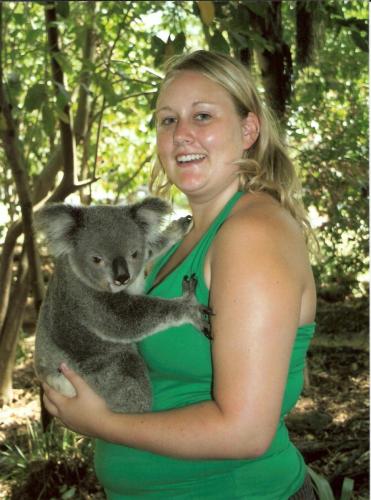 koala1-v.2